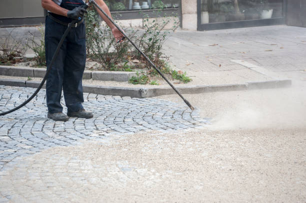 Best House Exterior Washing  in Waldo, AR